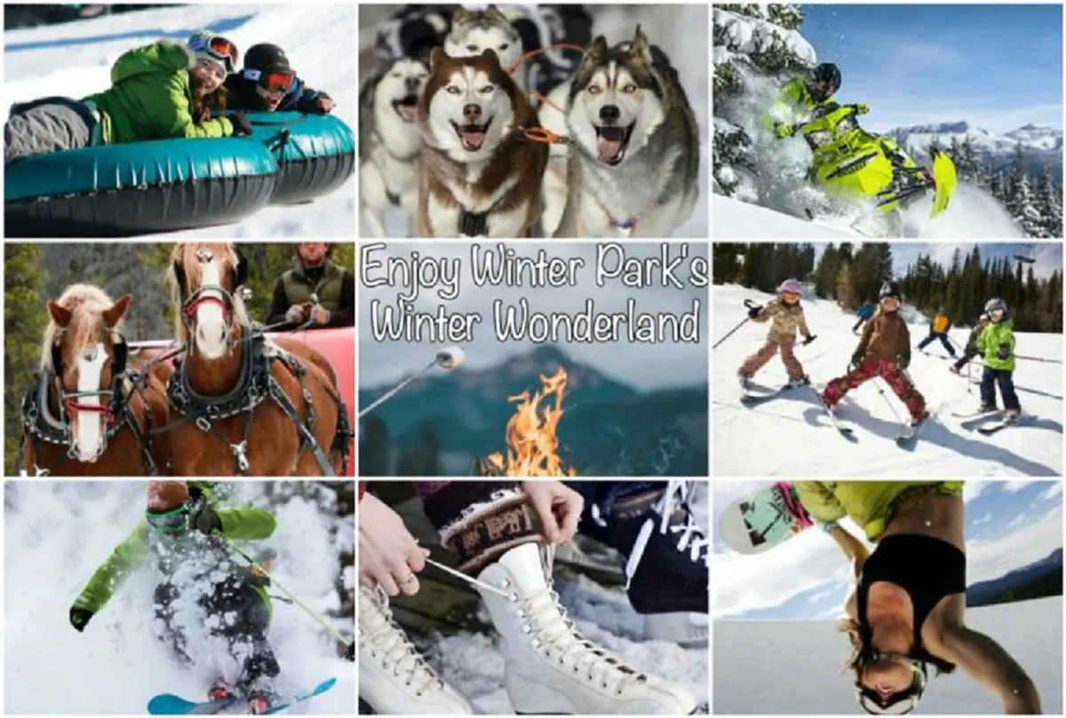 A lively winter scene featuring people engaged in various snow activities: tubing down snowy hills, a group of skiers, a snowboarder mid-action, husky dogs ready for sledding, snowmobiles parked in the snow, horse-drawn sleigh, and groups gathered around a campfire. The image captures the excitement and diversity of winter adventures available in the area.